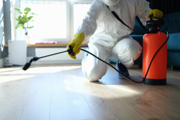 Reliable Odor Removal contractor in Lockwood, CA by Trauma Clean Pros